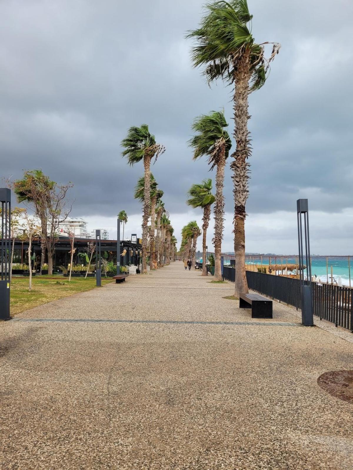 Diker Port 3 Apartment